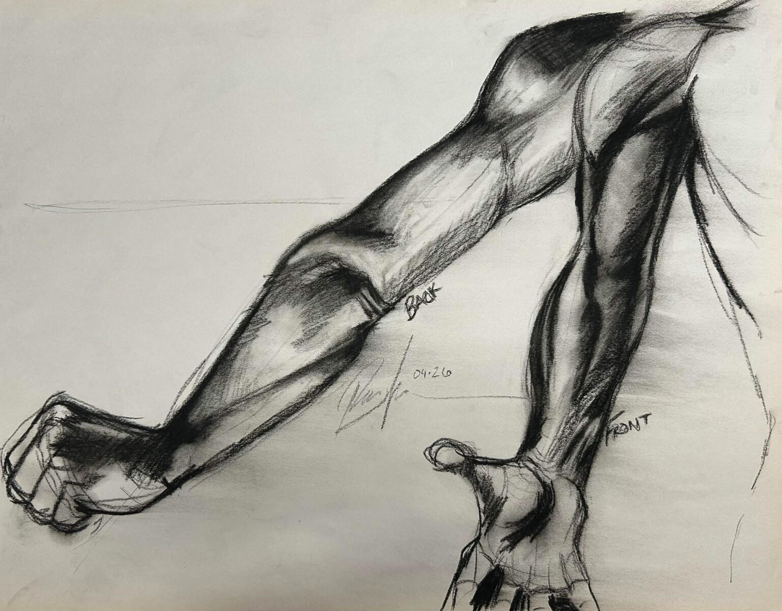 arm study ; charcoal